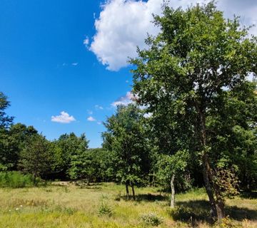 Istra, građevinsko i poljoprivredno zemljište 11142m2 - cover