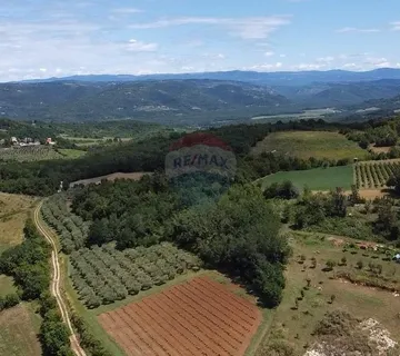 Istra, Višnjan- Poljoprivredno zemljište u okolici Višnjana - cover