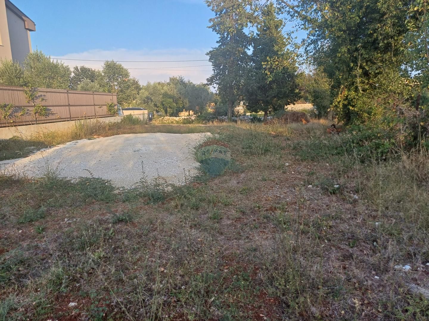 Fotografija