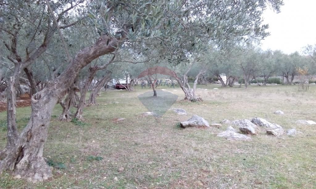Fotografija