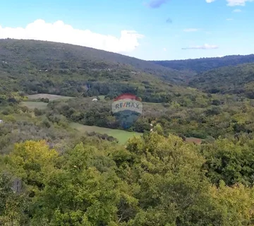 Istra, Peruški - poljoprivredno zemljište 4ha - cover