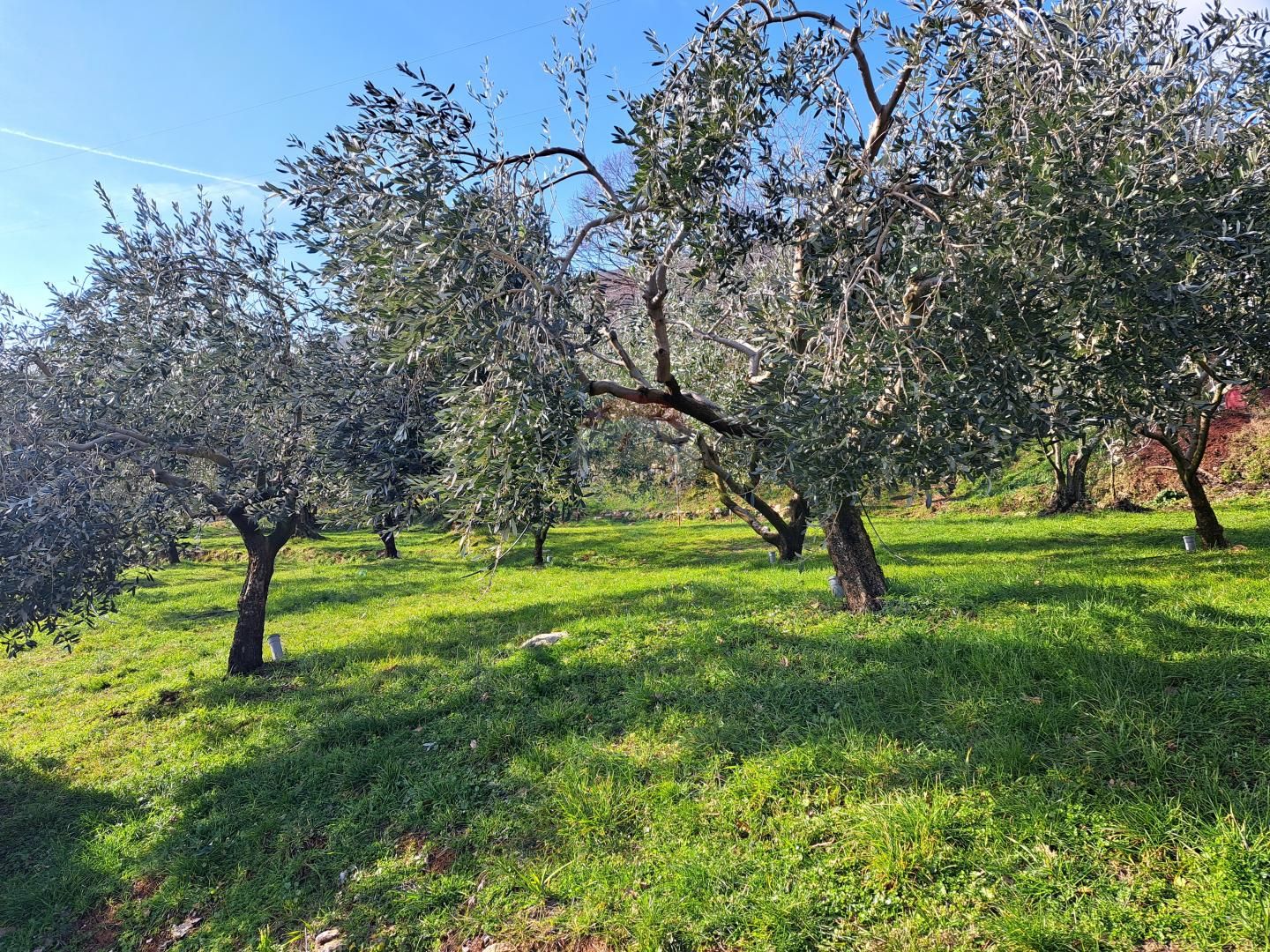 Fotografija