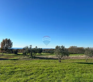 Kaštelir, lijepo poljoprivredno zemljište sa pogledom na more - cover