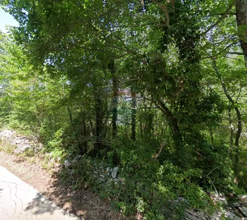 Istra, Sveti Lovreč okolica, poljoprivredno zemljište uz cestu - cover