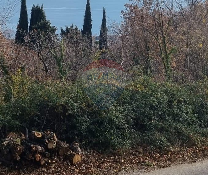 Fotografija