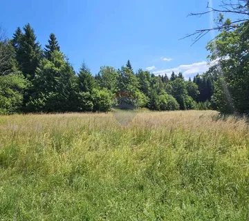 Delnice, građevinsko zemljište - 2400 m2 - cover