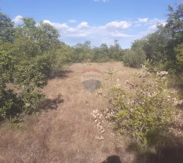 Juršići, Istra, poljoprivredno zemljište 139018 m2 - cover