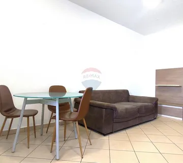 Istra, Umag - apartman u prizemlju blizu mora i plaže - cover