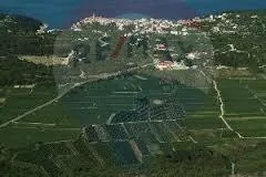 Poljoprivredno zemljište - cover