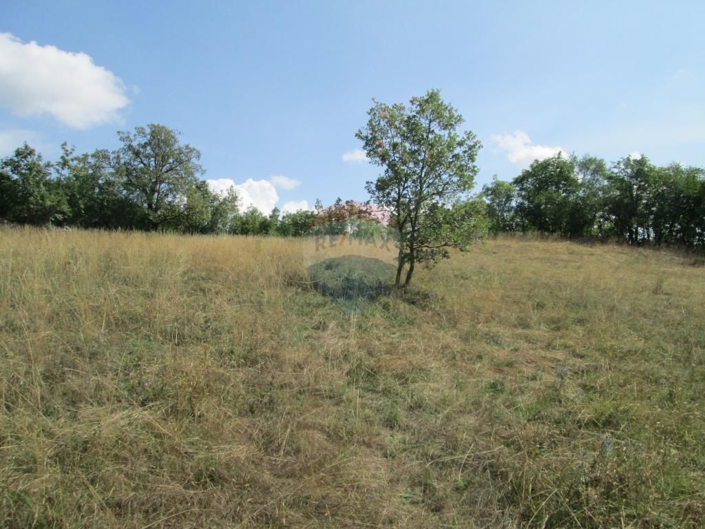 Fotografija