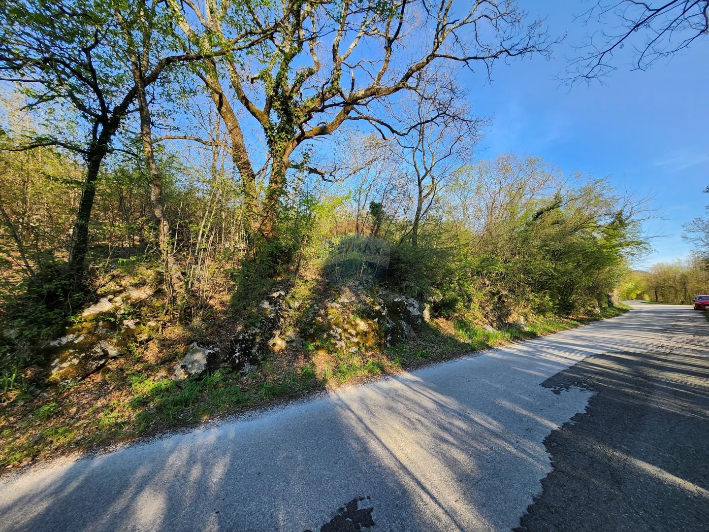 Fotografija