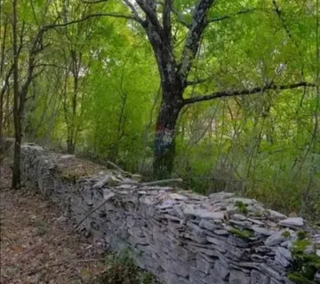 Istra, Barat- poljoprivredno zemljište - cover