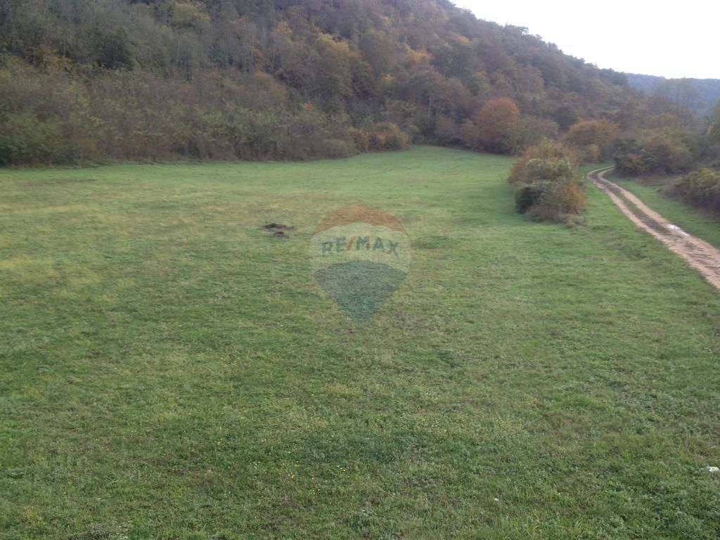 Fotografija
