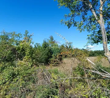 Istra, Žminj okolica - građevinsko zemljište - cover