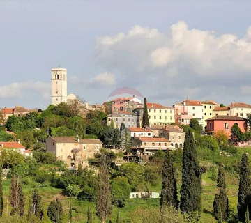 Istra, šuma pored Oprtlja u blizini građevinske zone - cover