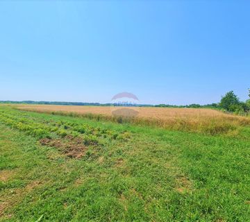 Brezovica, Grančari, građevinsko + poljoprivredno zemljište 8401 m2 - cover