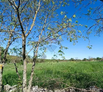 Istra, Bale- građevinsko zemljište na odličnoj poziciji - cover