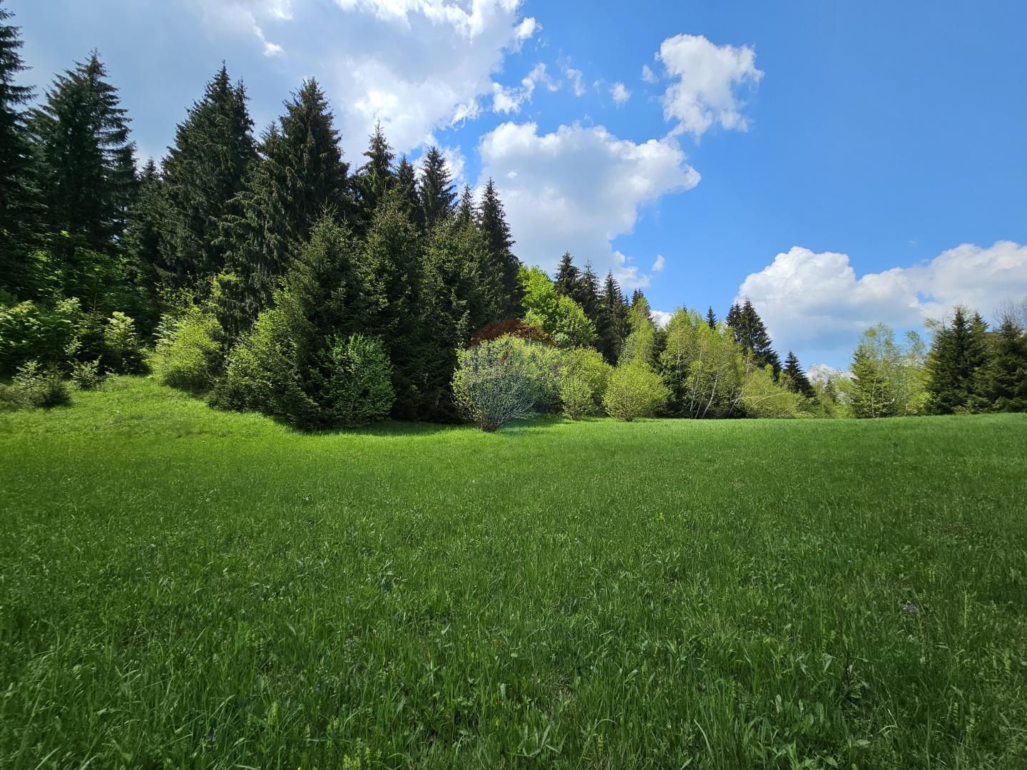 Fotografija