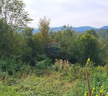 Matulji,Brdce,šumsko zemljište - cover