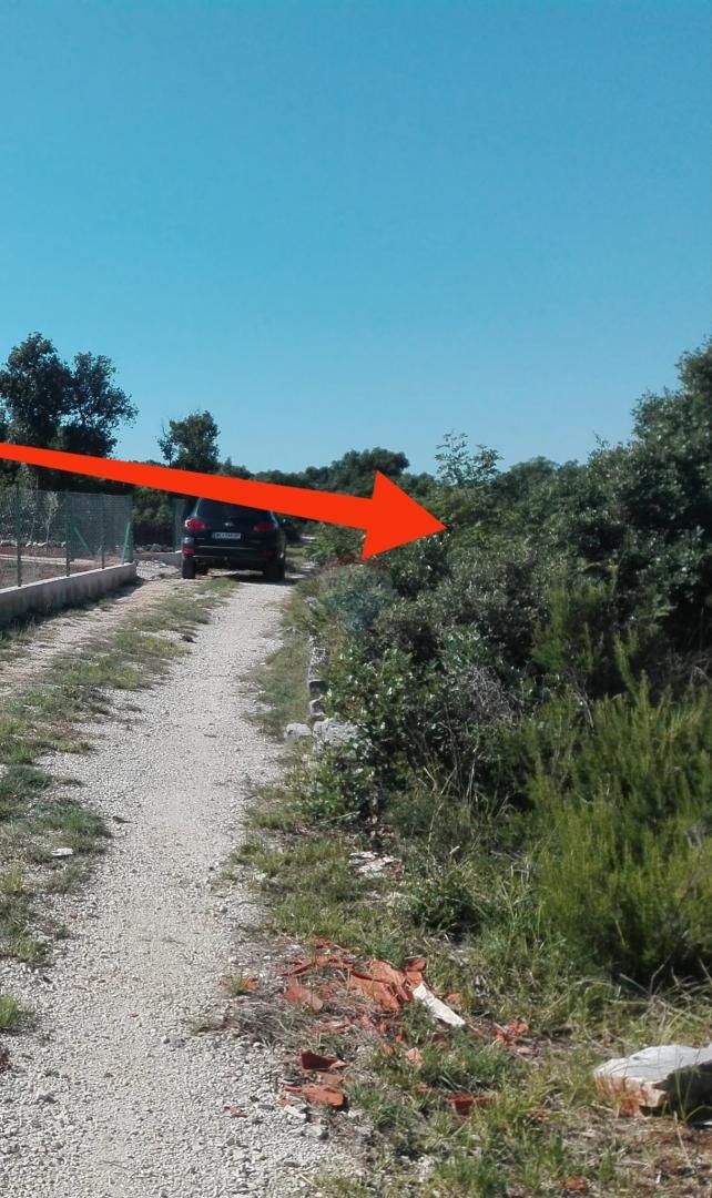 Fotografija