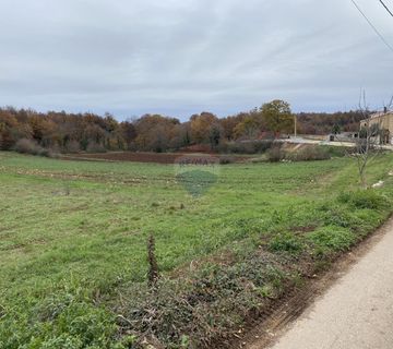 ISTRA, TINJAN - Građevinsko zemljište 1060 m2 - cover
