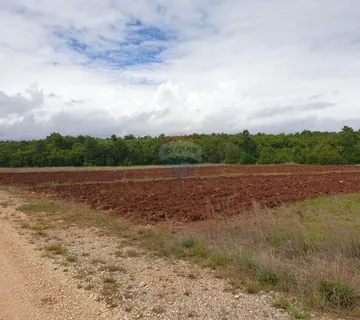 Istra, okolica Višnjana poljoprivredna zemlja površine 47.489m2 - cover