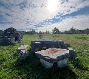 Istra, Vodnjan -okolica, maslinik na zemljištu od 14.000m2 - cover