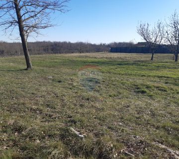 Istra, Pazin okolica građevinska parcela 1975m2 - cover