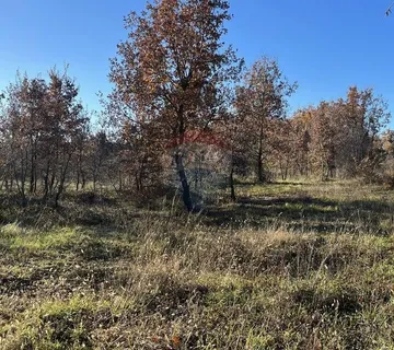 Poreč - okolica, poljoprivredno zemljište sa vodom na terenu - cover