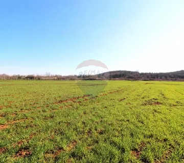 Istra, poljoprivredno zemljište 5 km od Poreča - cover