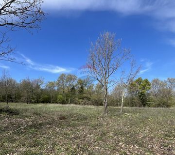 Istra, Sveti Lovreč, građevinsko zemljište 615 m2 - cover