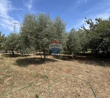 Istra , Višnjan - građevinsko zemljište za gradnju obiteljske kuće - cover