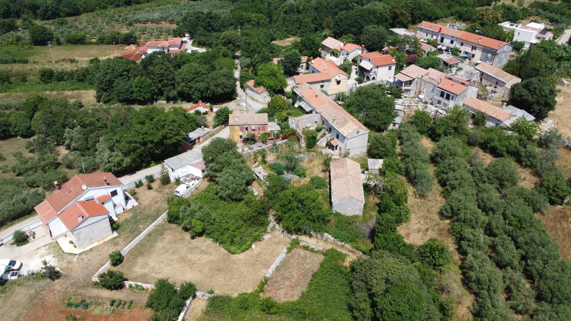 Fotografija