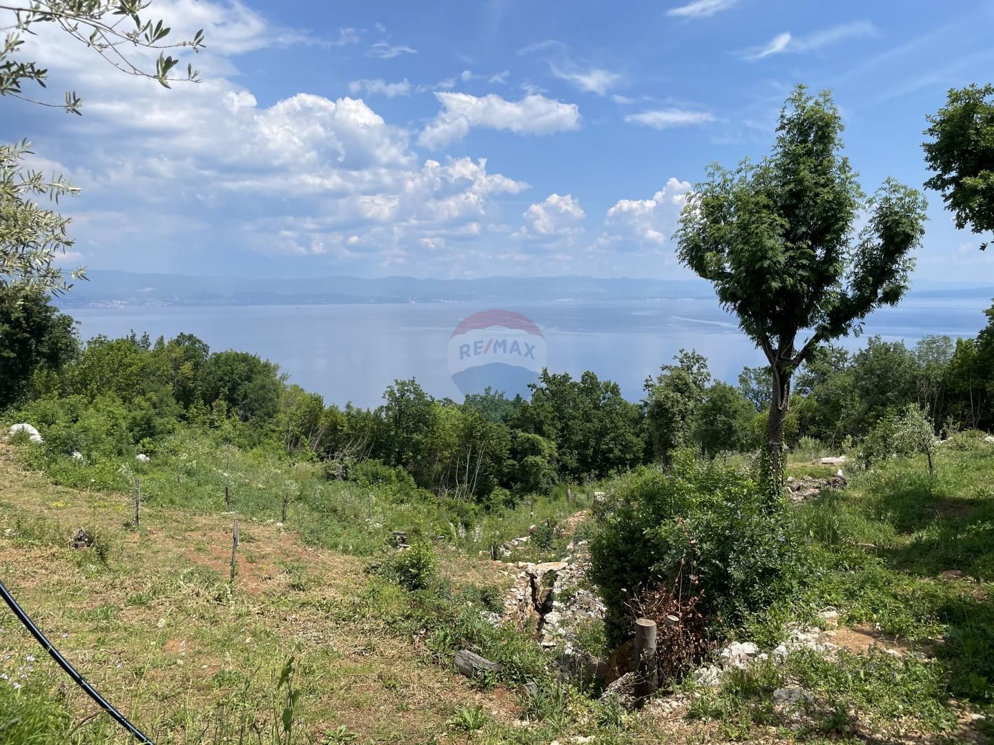 Fotografija