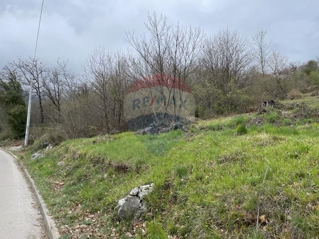 Fotografija