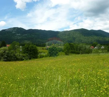 Teren kod Bjelolasice - cover