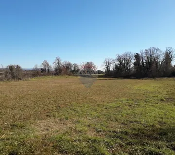 Istra,Šegotići,građevinsko-poljoprivredno zemljište - cover