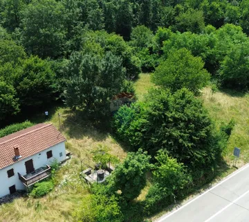 ISTRA, ŽMINJ - Lijepa stancija i građevinsko zemljište - cover