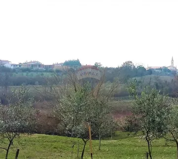 Istra, Brtonigla - građevinsko zemljište na izdvojenoj lokaciji - cover