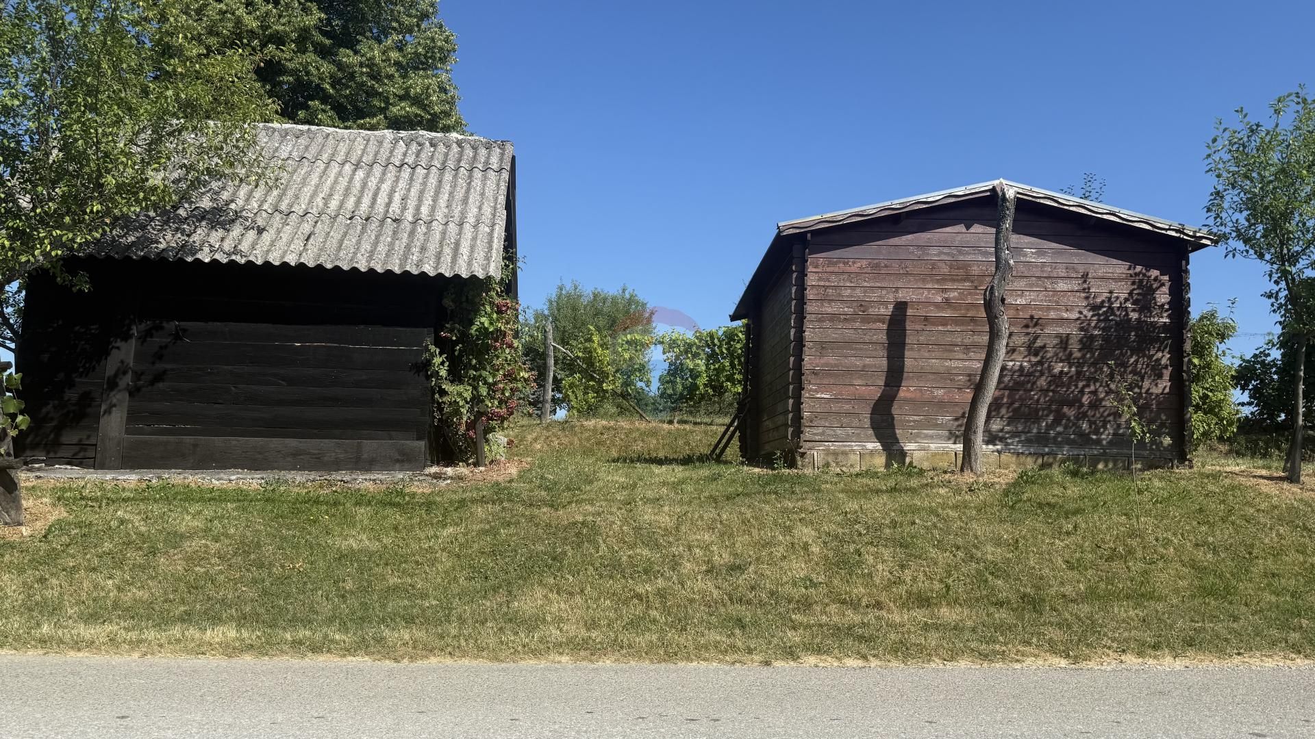 Fotografija