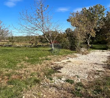 Umag - okolica, kombinacija građevinsko-poljoprivrednog zemljišta u mirnom naselju - cover