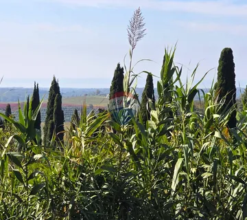 Istra,Buje-Građevinsko zemljište panoramskog pogleda - cover
