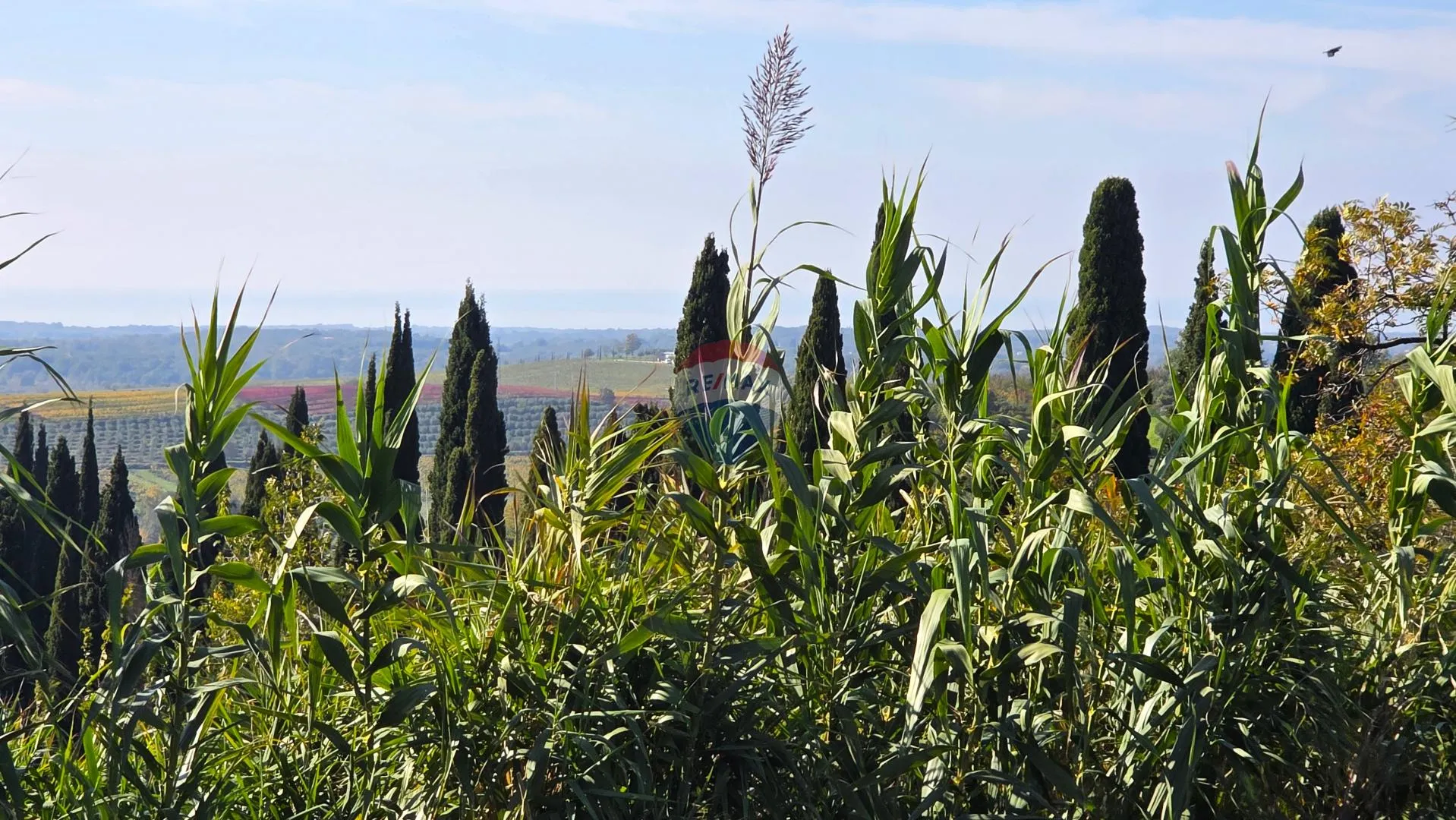 Istra,Buje-Građevinsko zemljište panoramskog pogleda - cover