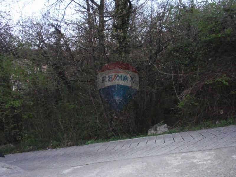 Fotografija
