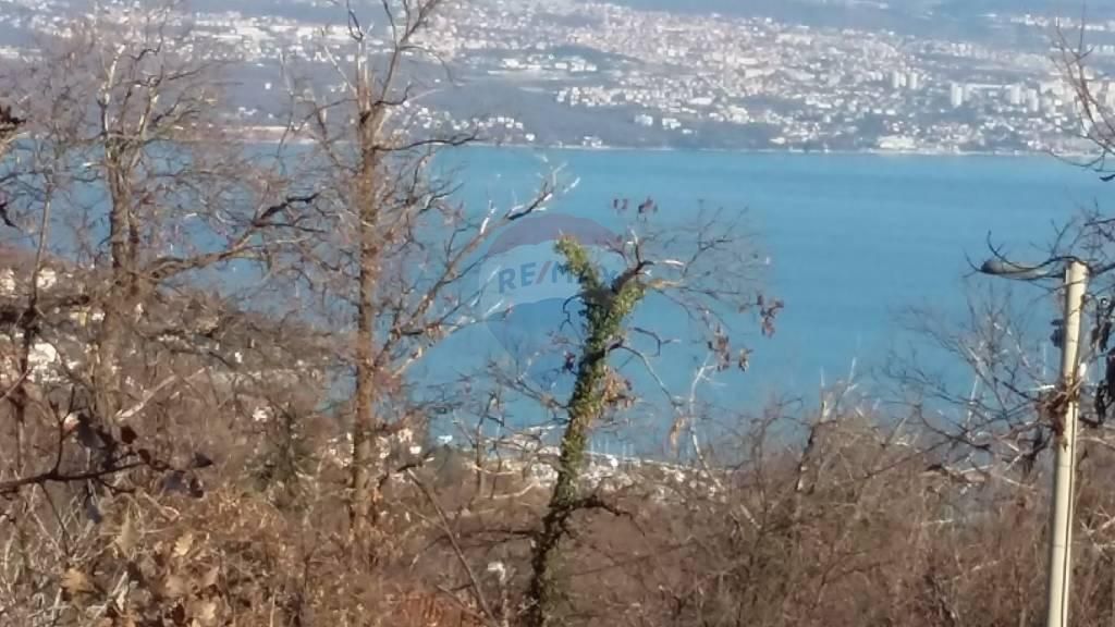 Fotografija