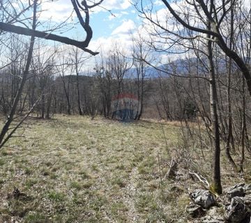 Viškovo - negrađevinski teren 6500m2 - cover