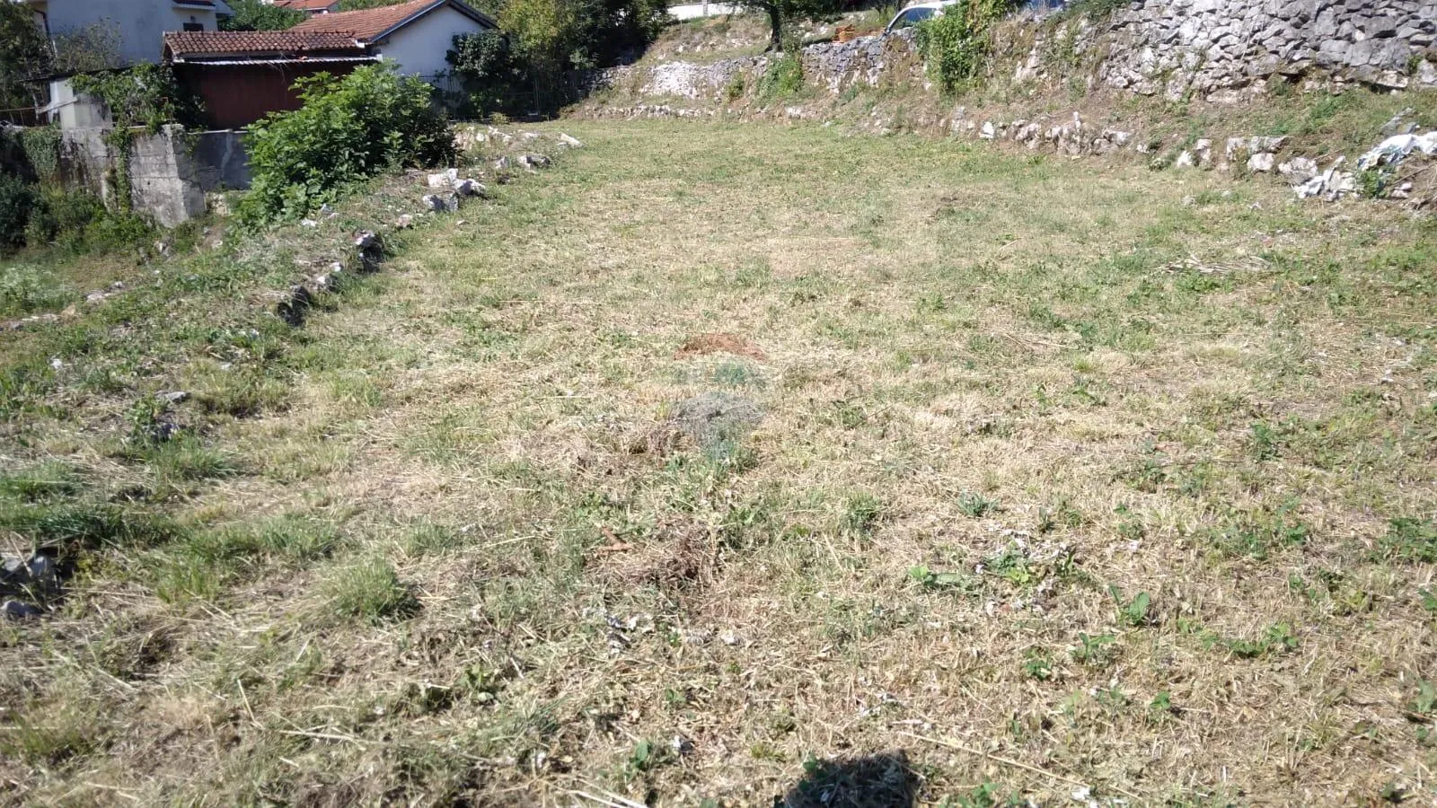 Fotografija