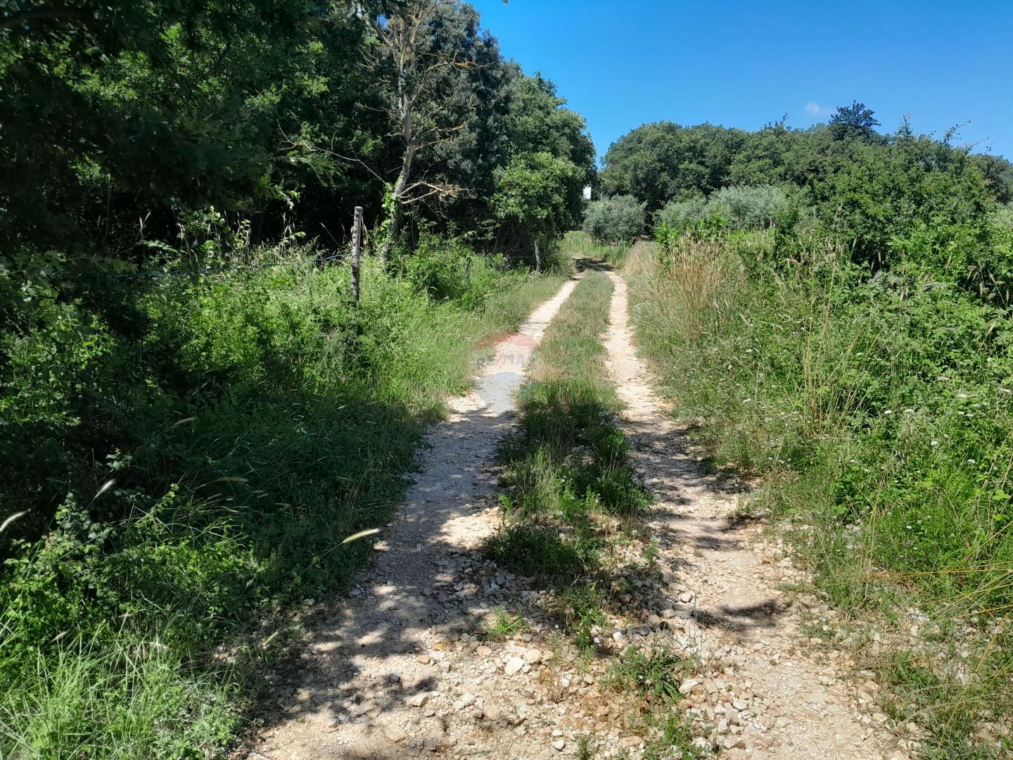 Fotografija