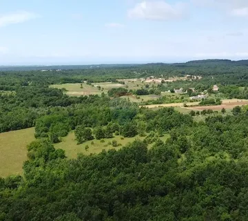 Istra, Višnjan, Okolica- veliko poljoprivredno zemljište 4 hektara - cover
