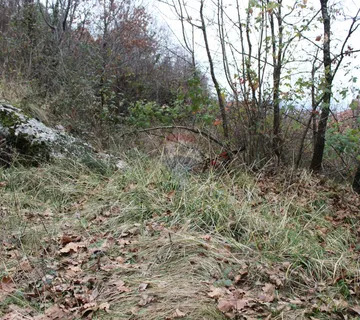 Gornji Rukavac, građevinsko zemljište 725m2 - cover